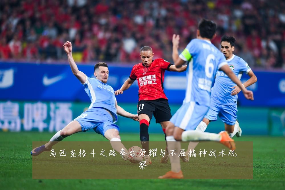 乌西克格斗之路拳台荣耀与不屈精神战术观察